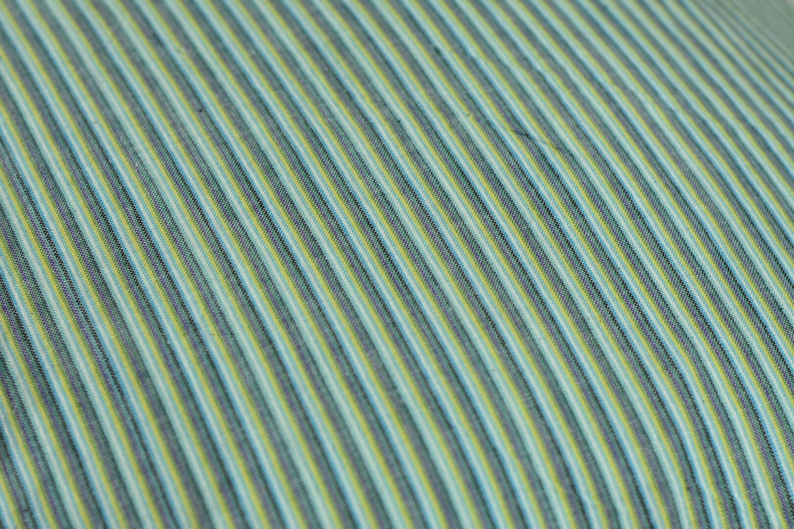 DSC_1731